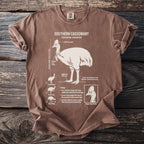Brown t-shirt graphic details Southern Cassowary, its height, casque, and biology.
