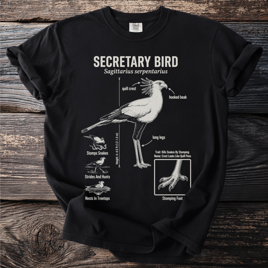 Black t-shirt with "SECRETARY BIRD" and scientific name above illustration.