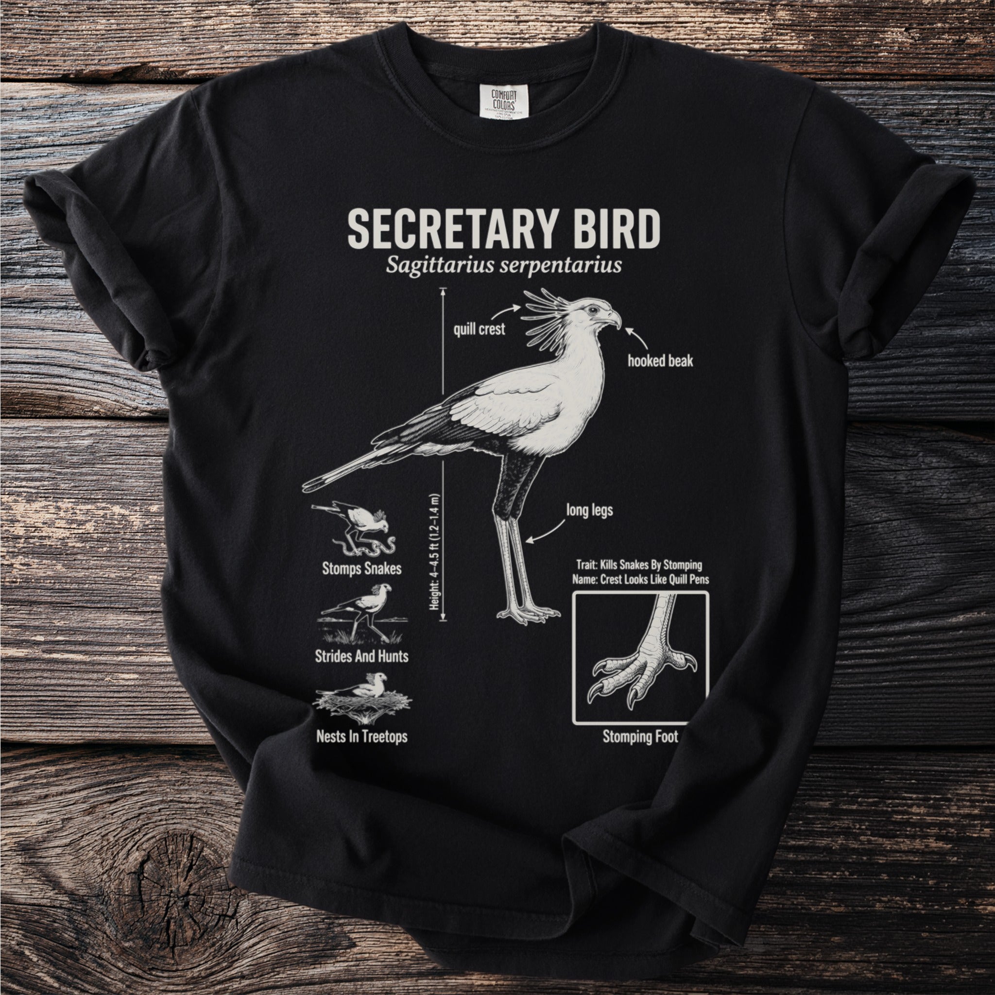 Black t-shirt with "SECRETARY BIRD" and scientific name above illustration.