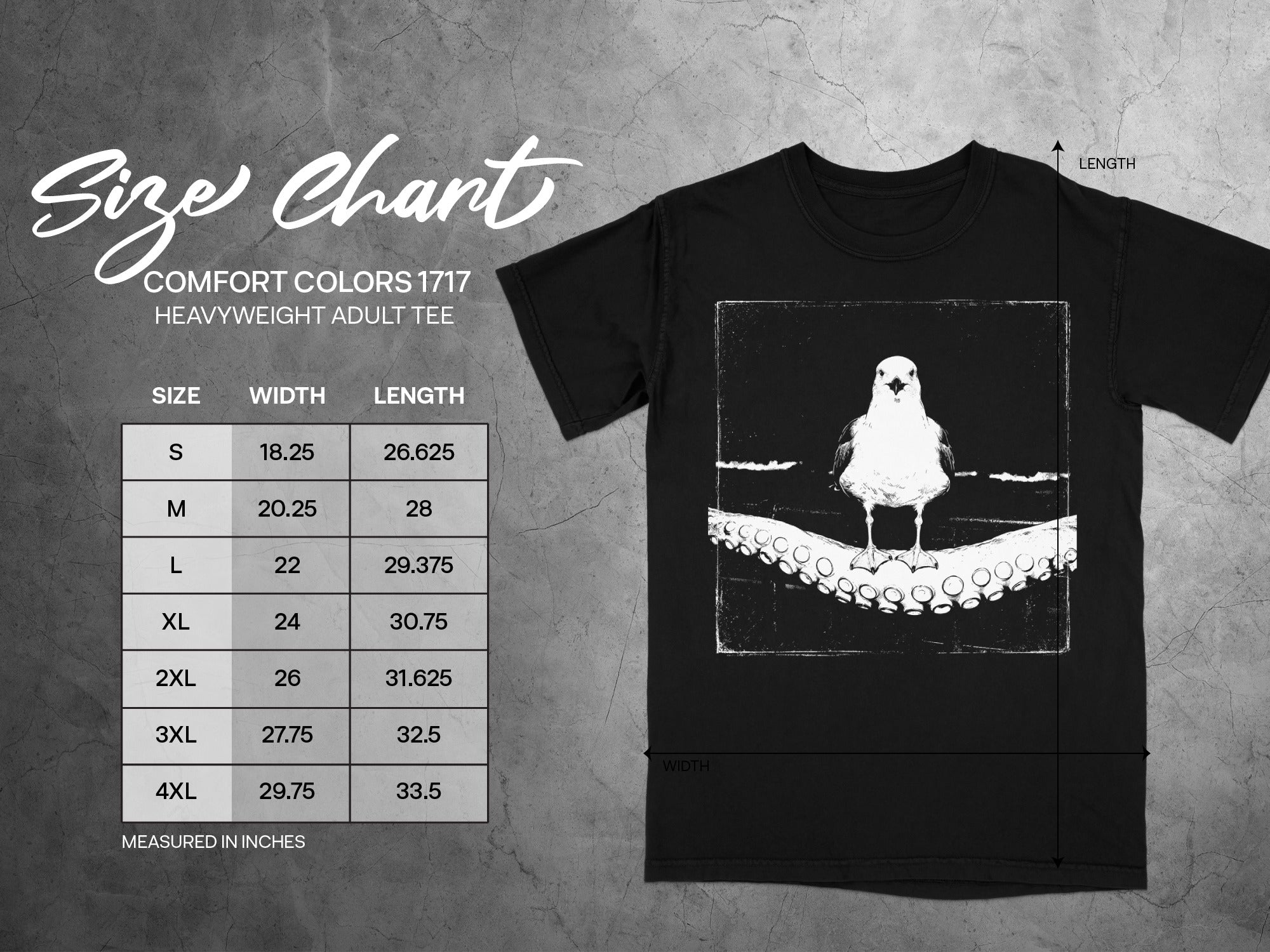 Comfort Colors 1717 heavyweight adult tee size chart with width and length measurements in inches.
