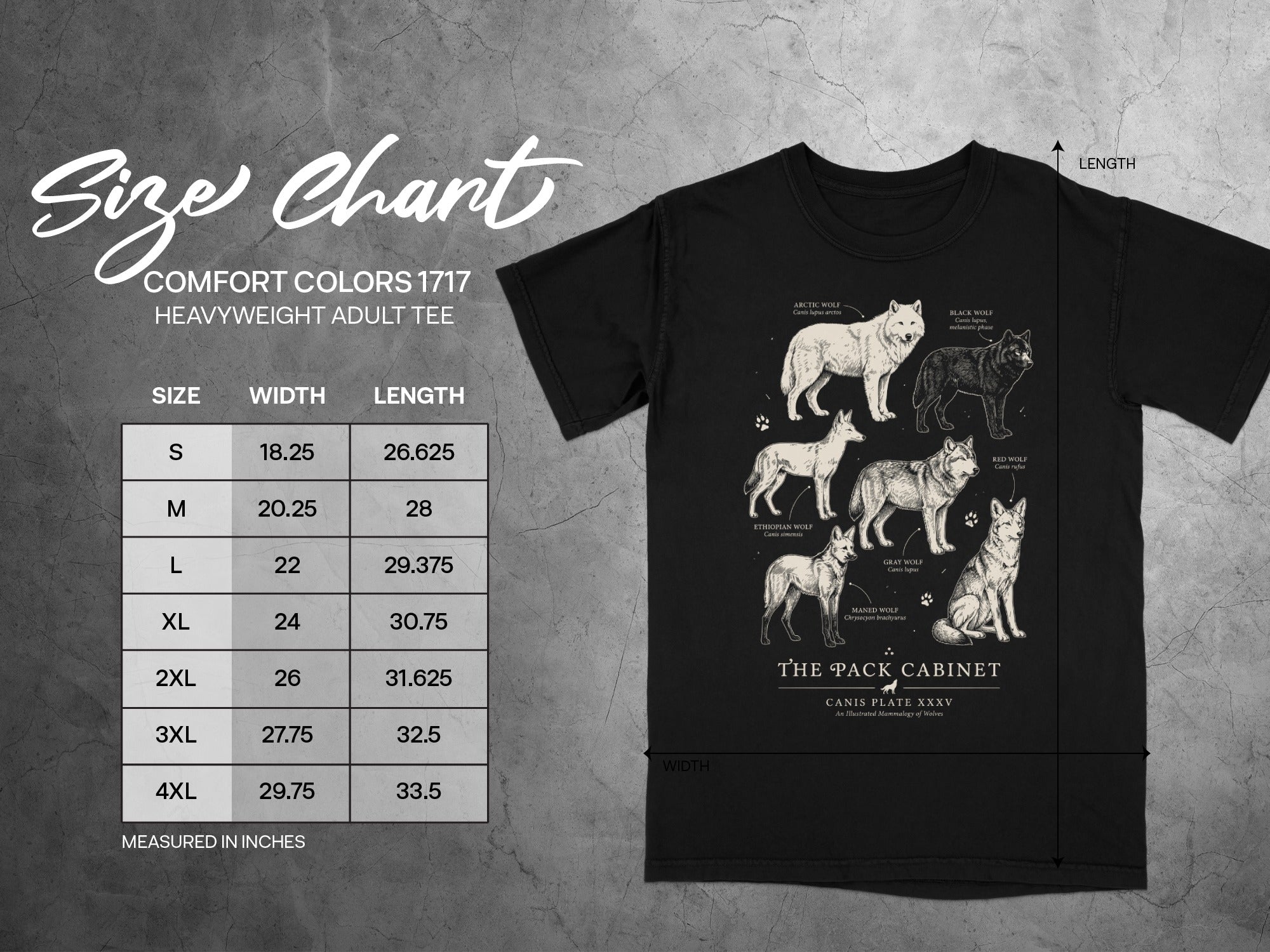 Comfort Colors 1717 t-shirt size chart with wolf illustrations and measurements.