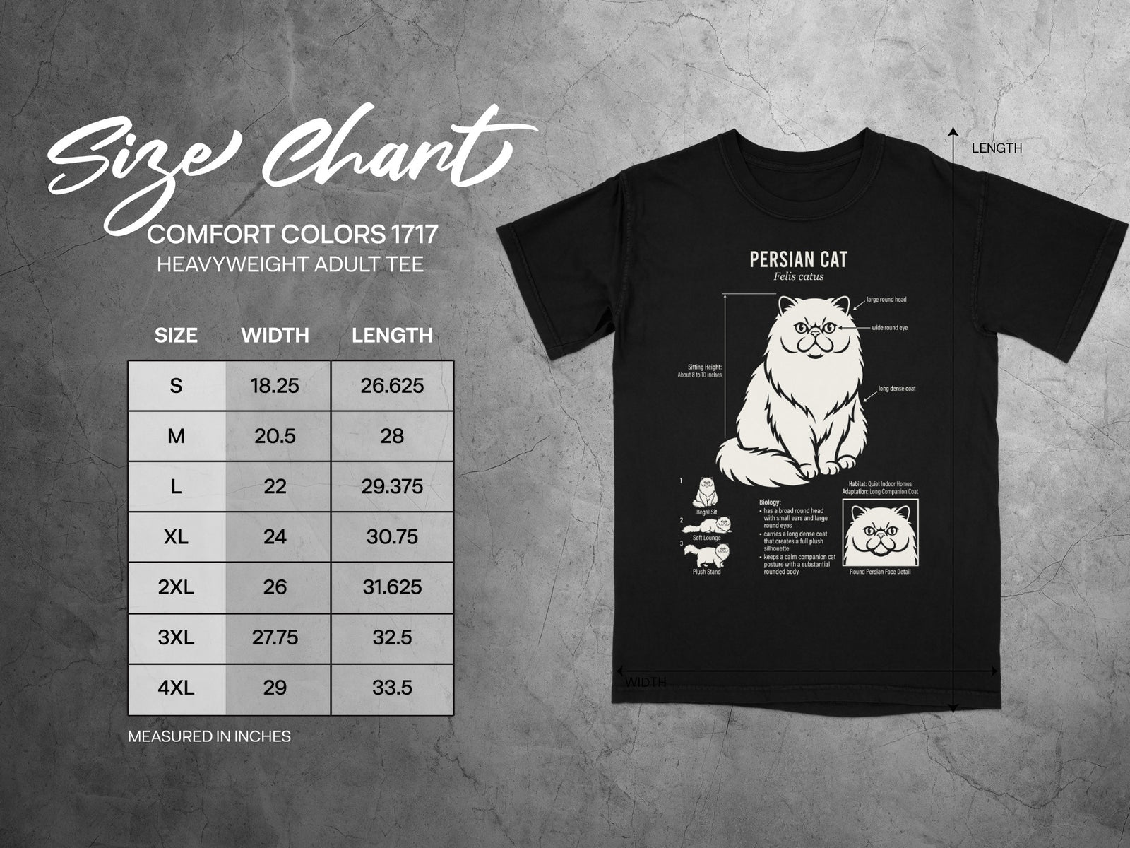 Comfort Colors 1717 heavyweight adult tee size chart with Persian cat diagram.