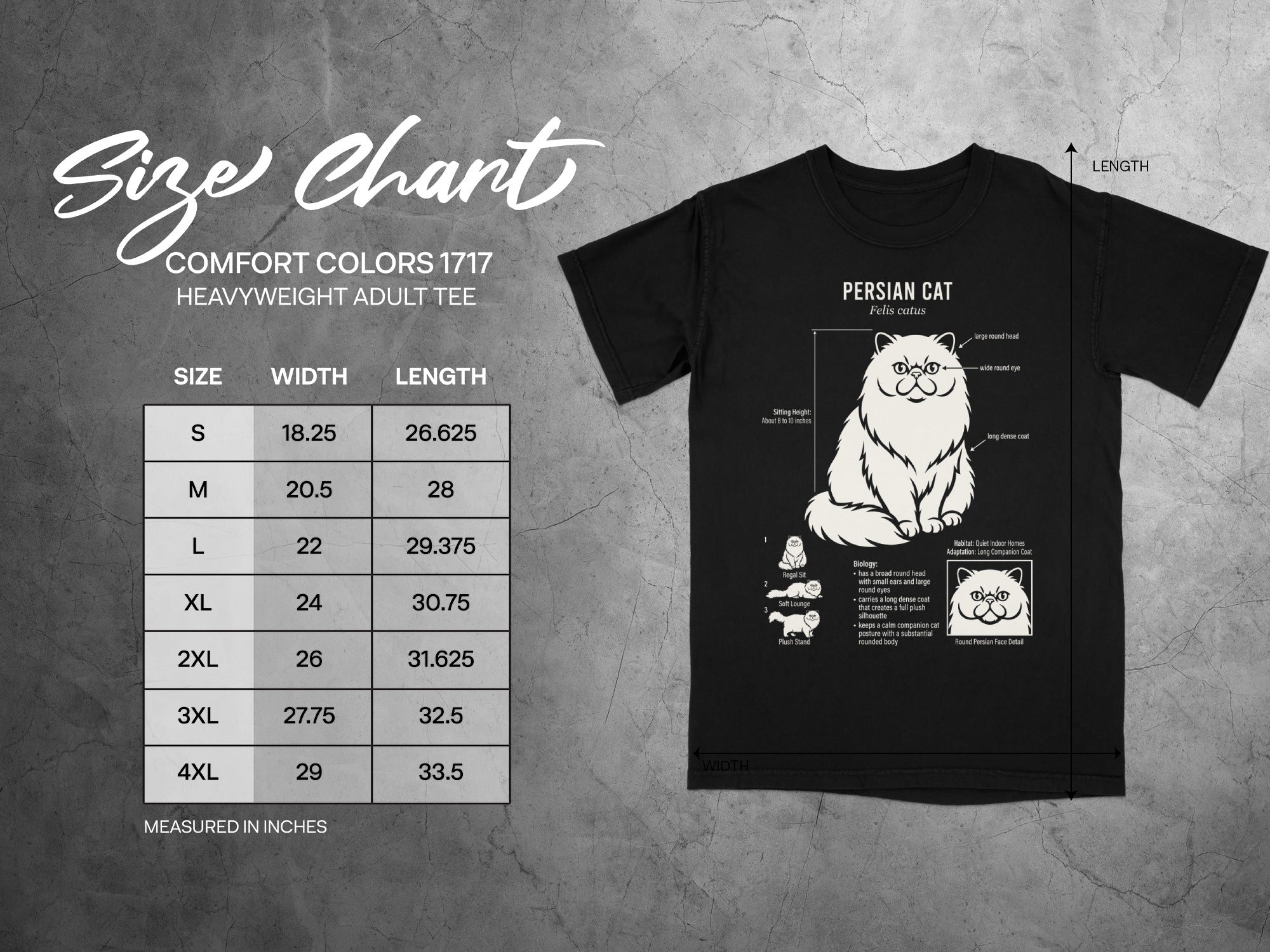 Comfort Colors 1717 heavyweight adult tee size chart with Persian cat diagram.