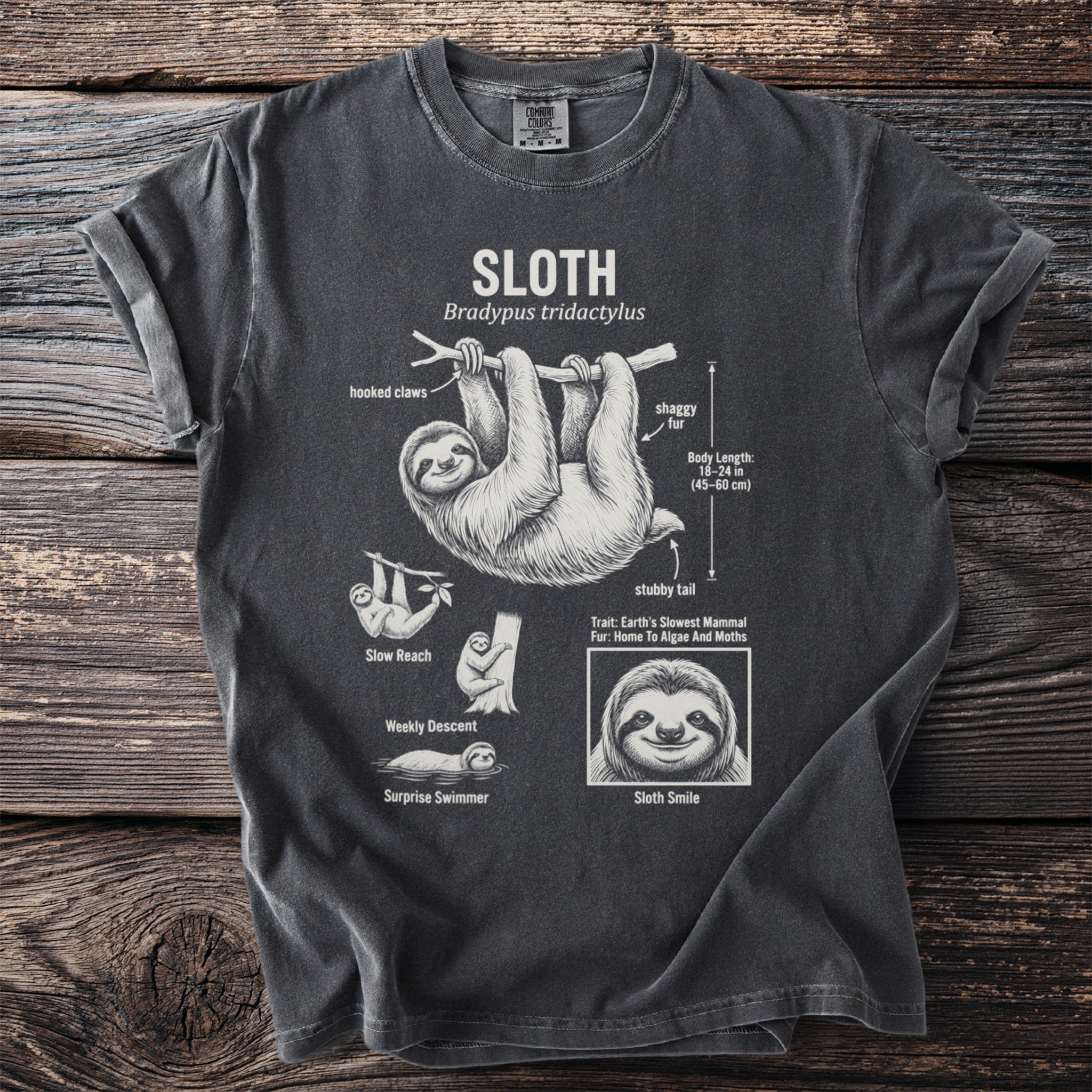 Sloth t-shirt design with anatomical illustrations and facts about sloths.