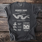 Hognose snake illustration with scientific name, features, and behaviors.