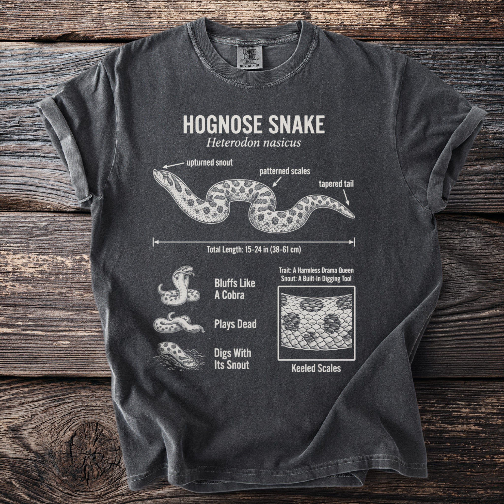 Hognose snake illustration with scientific name, features, and behaviors.