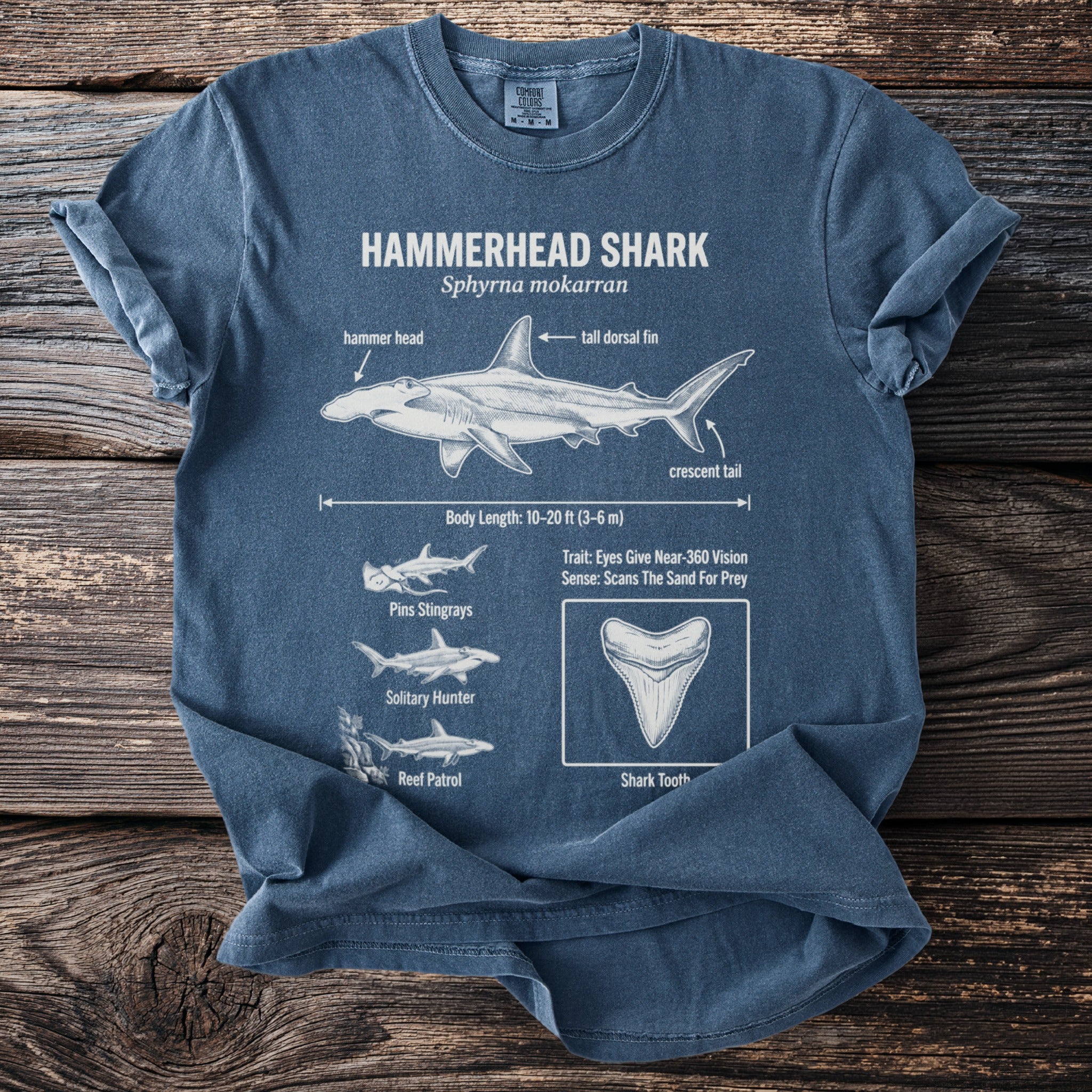 Blue t-shirt with Hammerhead Shark scientific illustration and traits including fins and tooth.