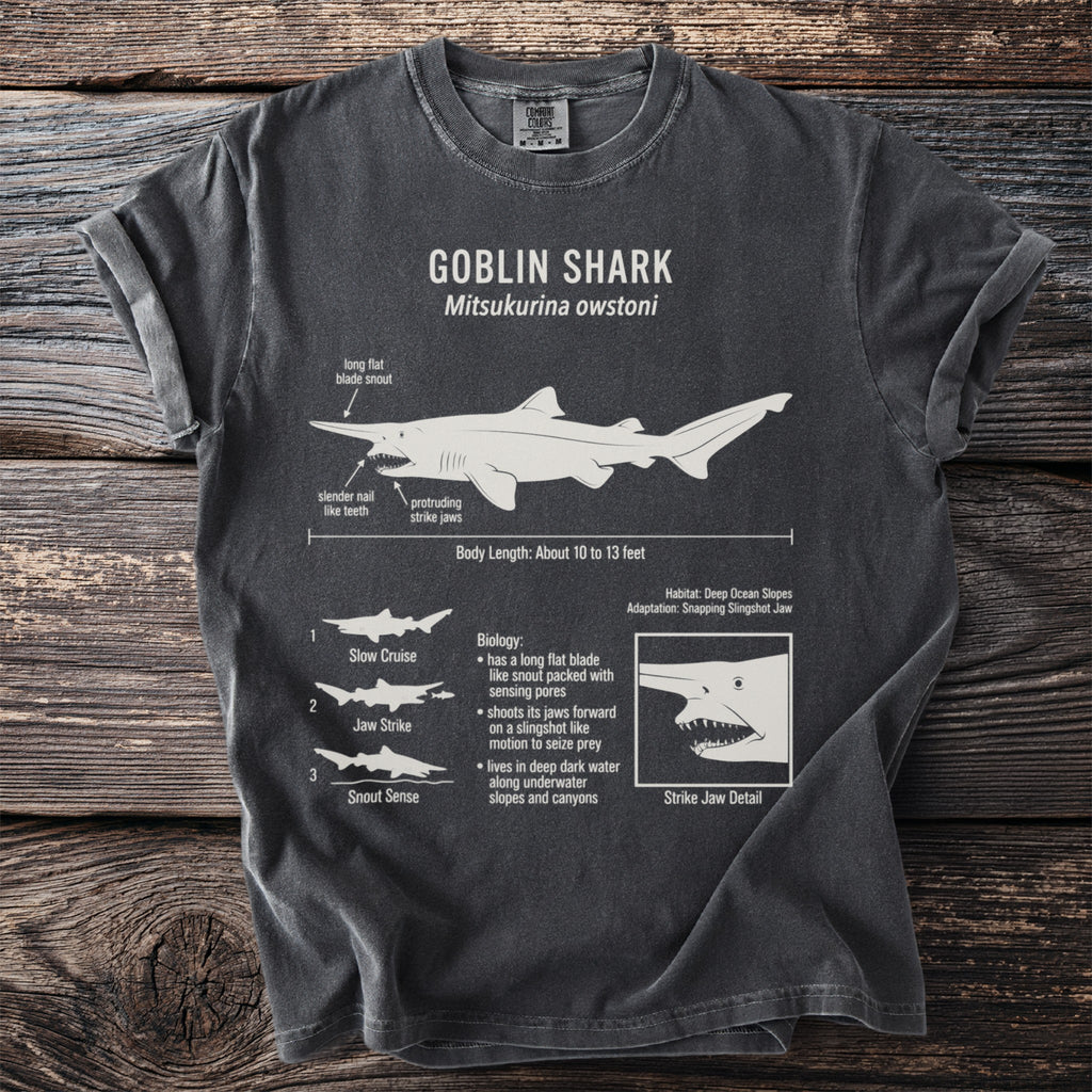 Goblin shark illustration with scientific details, body length, and habitat information.