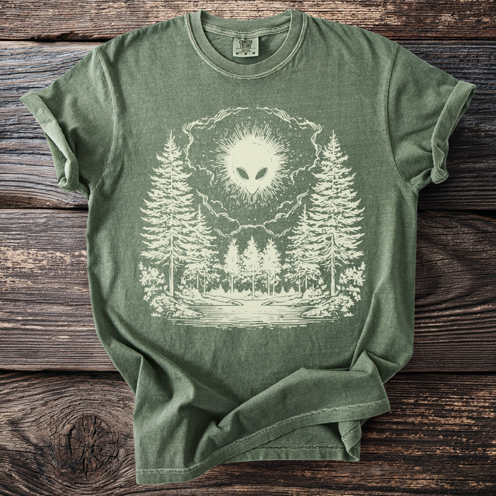 The Beacon: Grey Above the Pines