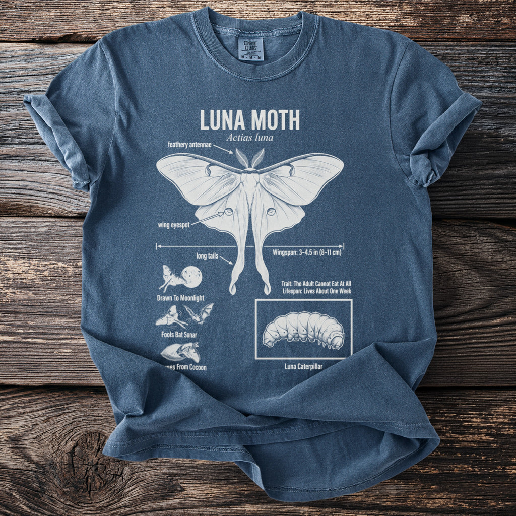Blue t-shirt with a white line drawing of a Luna Moth, its caterpillar, and biological facts.