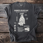 Charcoal t-shirt graphic of a Hammer-headed Bat with anatomical details and biology facts.