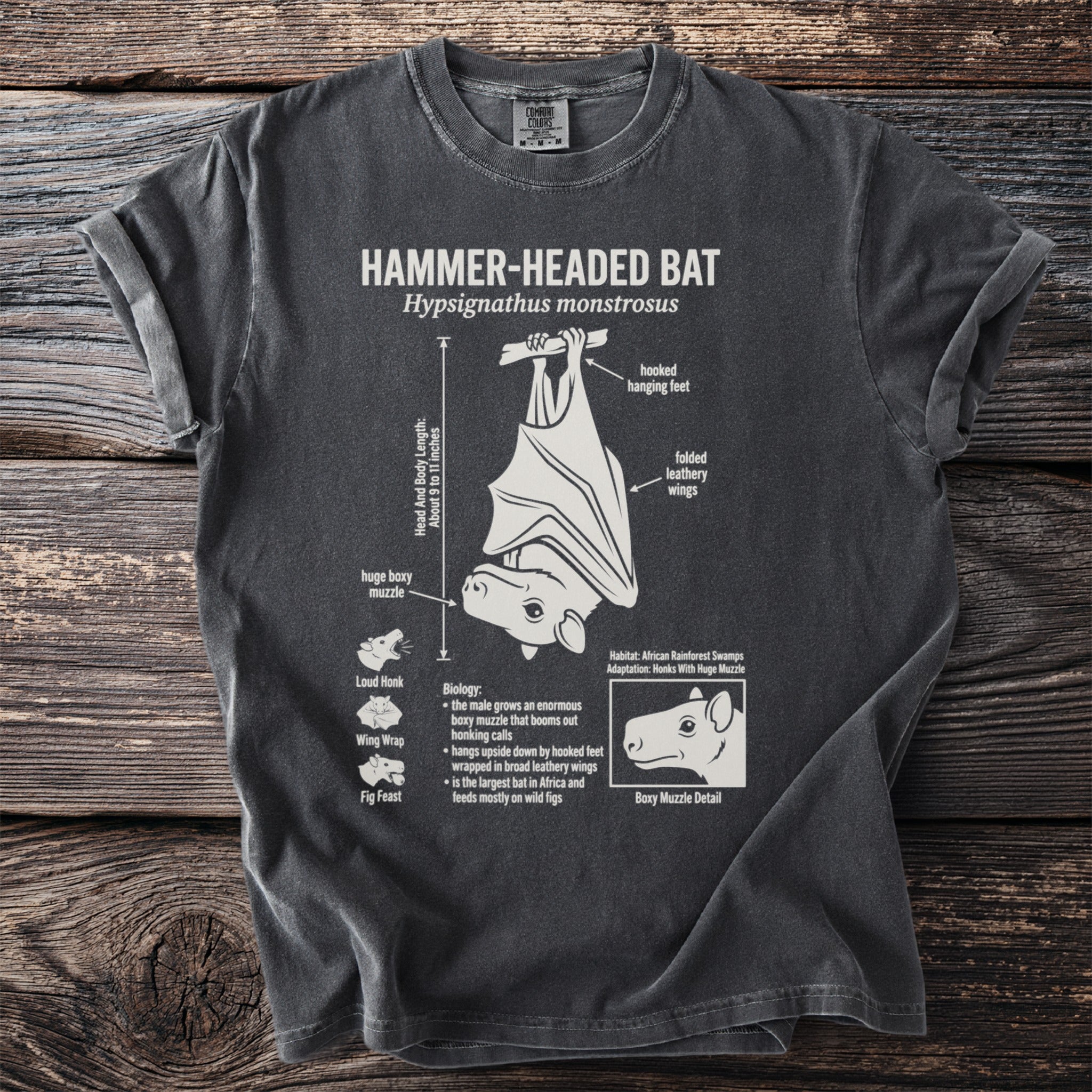Charcoal t-shirt graphic of a Hammer-headed Bat with anatomical details and biology facts.