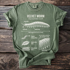 Green t-shirt with diagram of a velvet worm and its features.
