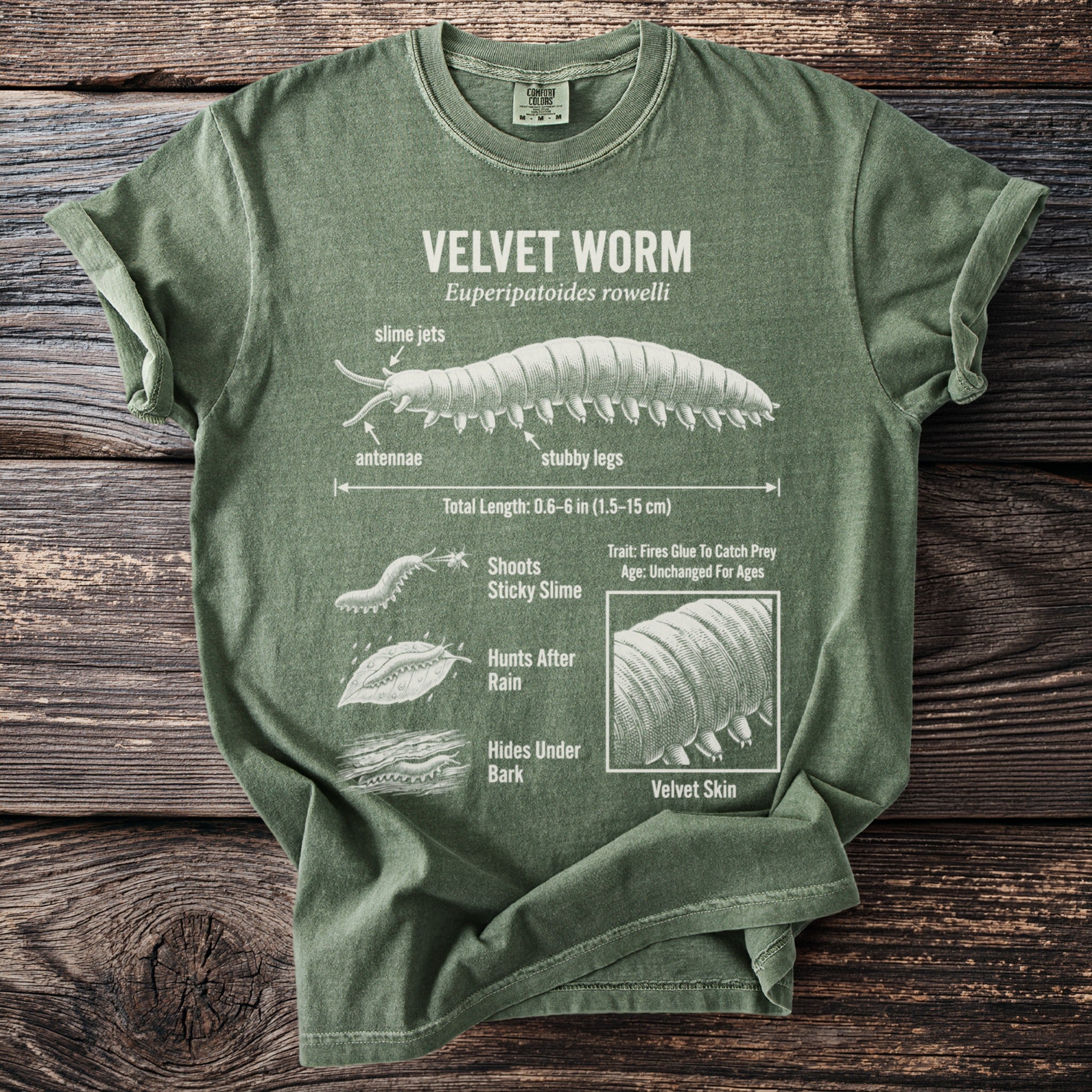 Green t-shirt with diagram of a velvet worm and its features.