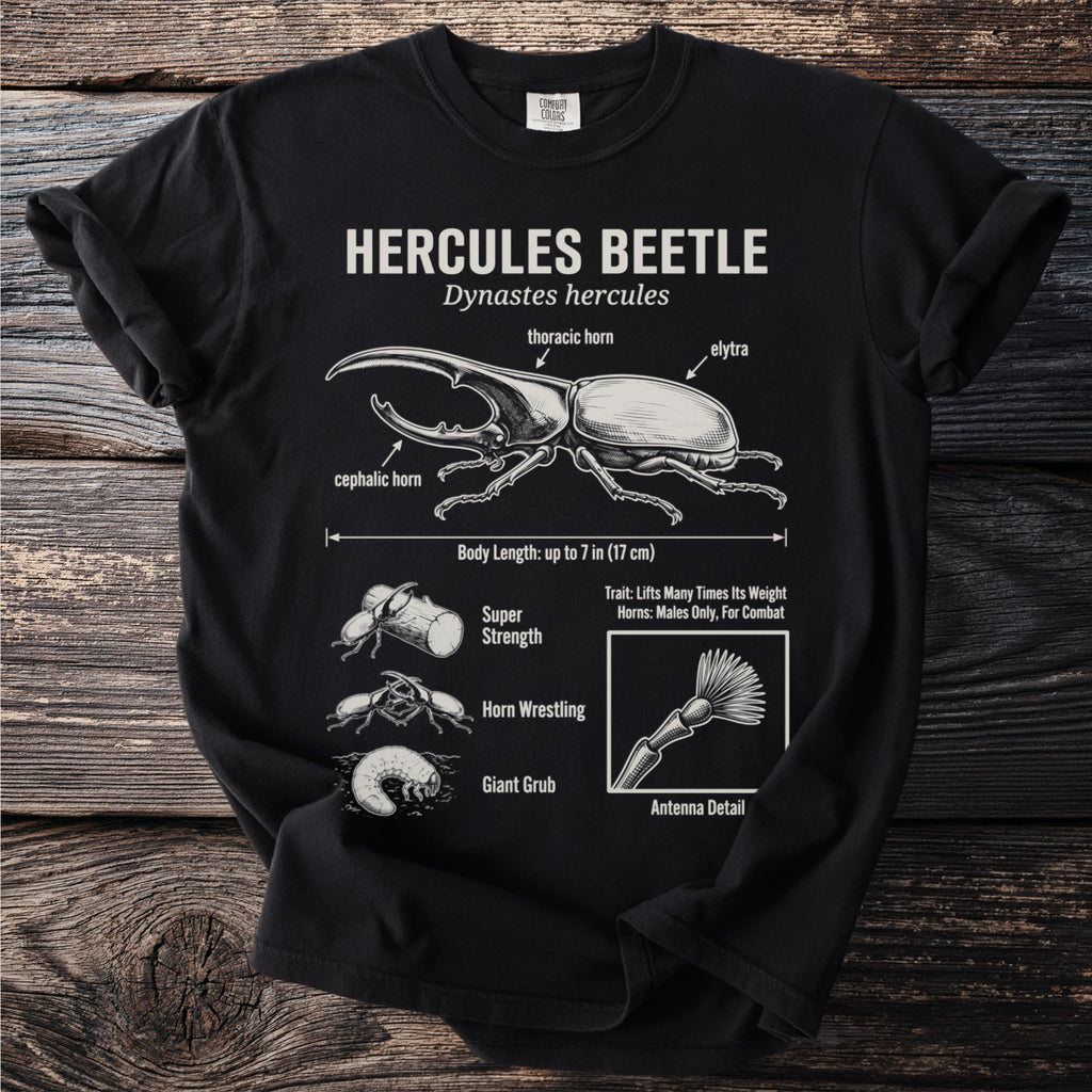 Black t-shirt with Hercules Beetle illustration and scientific details.