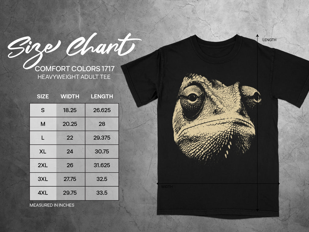 Comfort Colors 1717 heavyweight adult tee size chart showing dimensions in inches.