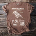 Brown t-shirt featuring a diagram of a Tawny Frogmouth with its characteristics and scientific name.
