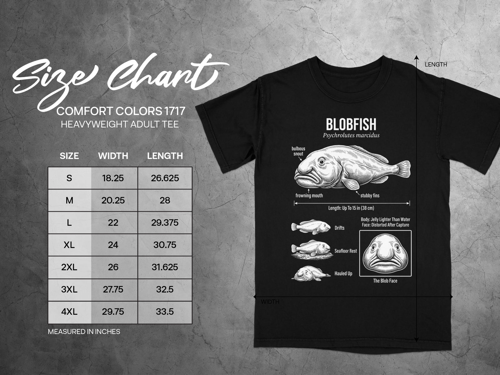 Comfort Colors 1717 heavyweight adult tee size chart with blobfish illustration.