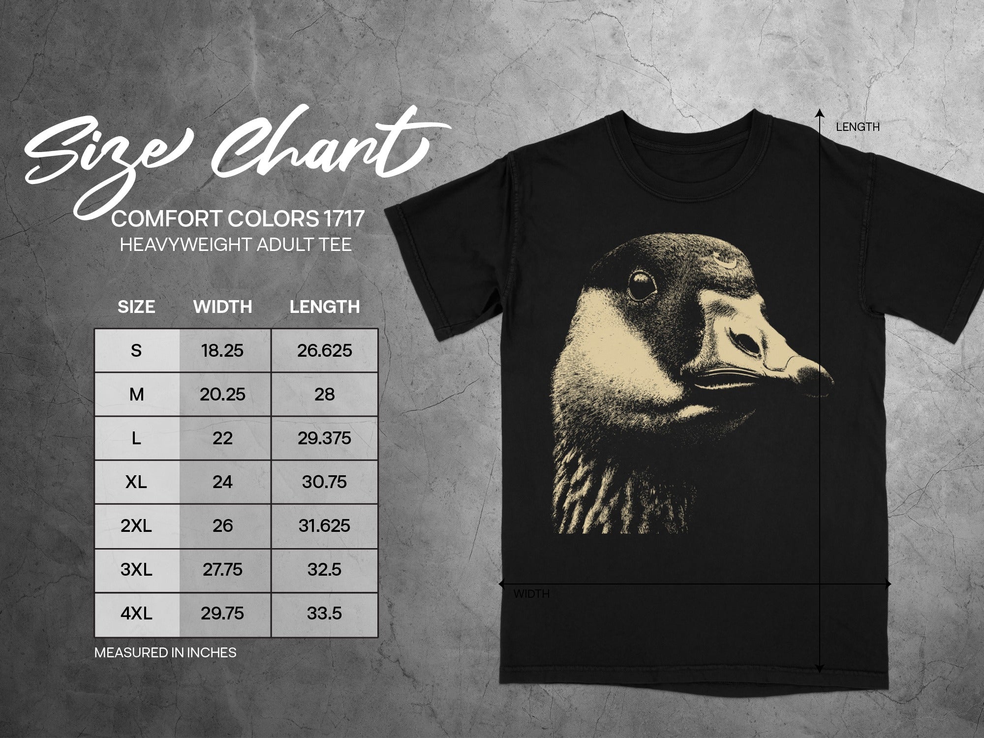 Comfort Colors 1717 adult tee size chart with width and length measurements in inches.