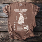 Brown t-shirt with Hammer-Headed Bat illustration and biological details.