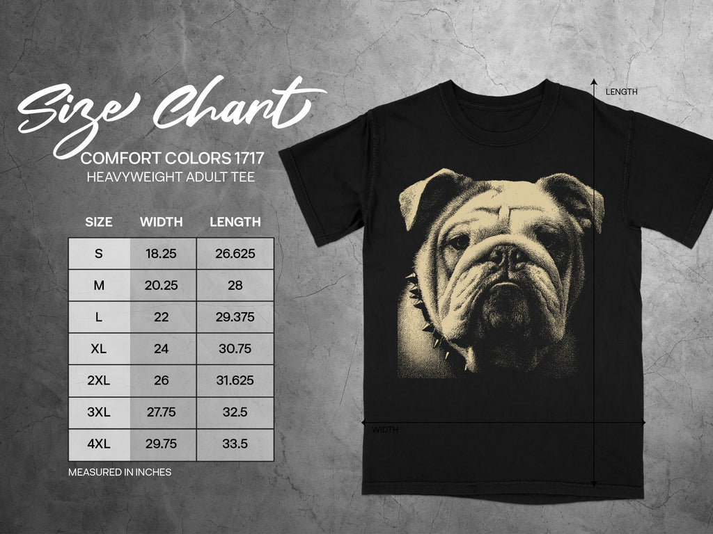 Size chart for Comfort Colors 1717 heavyweight adult tee, showing width and length in inches.