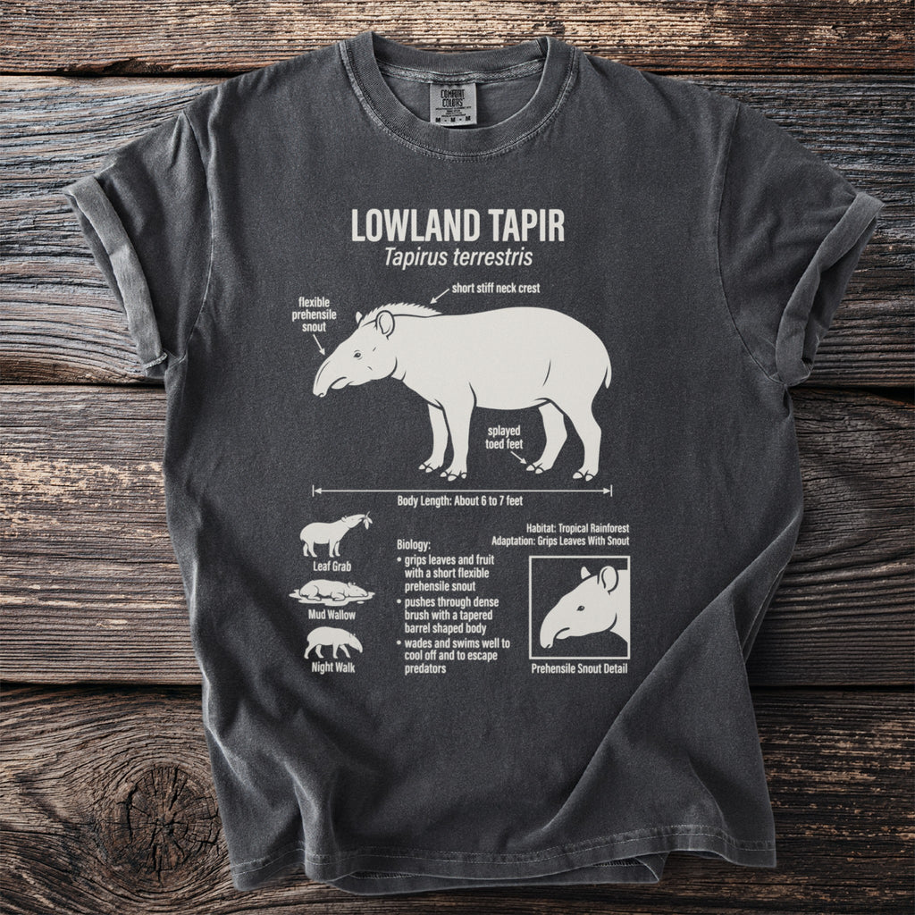 Lowland Tapir diagram with scientific name and anatomical labels on dark t-shirt.