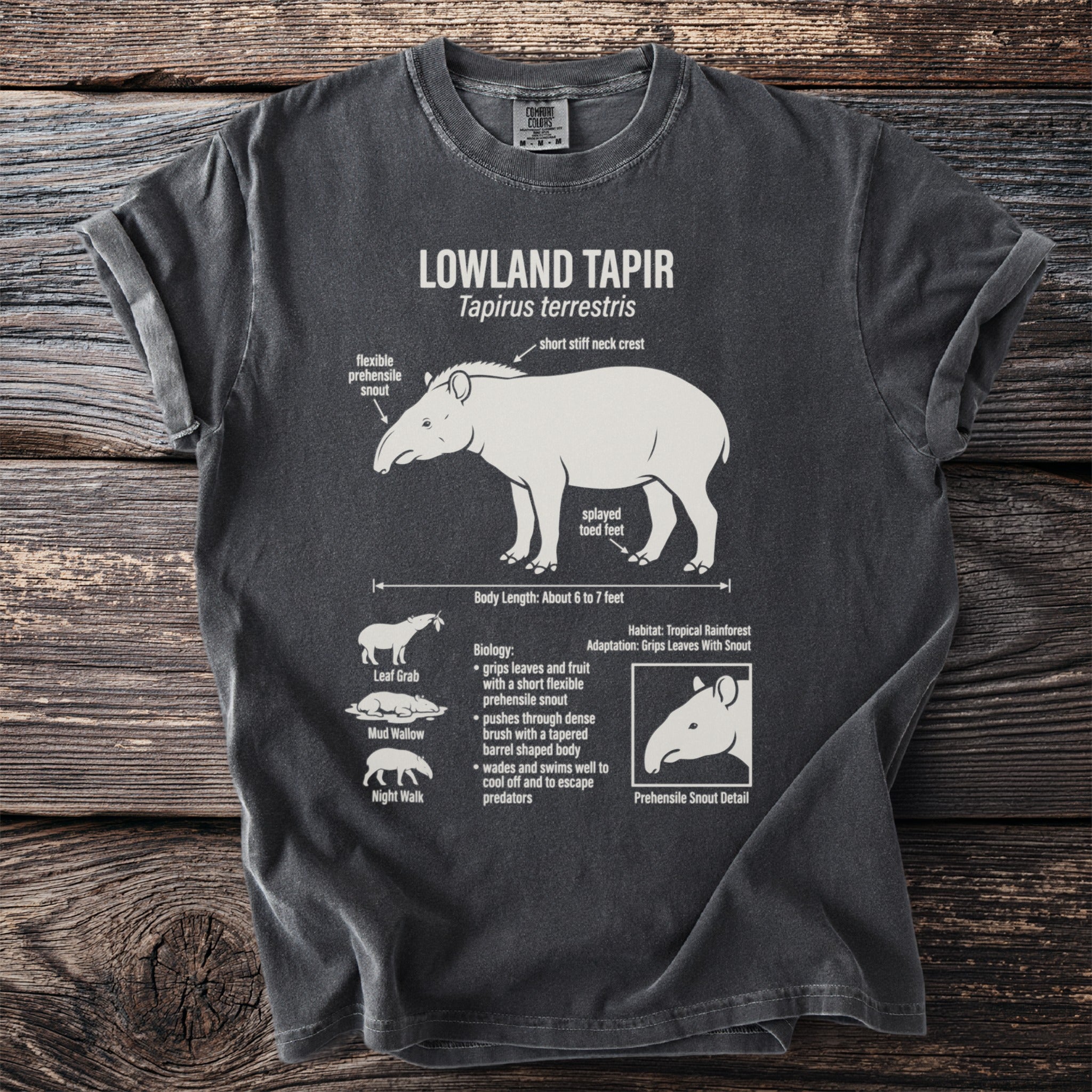 Lowland Tapir diagram with scientific name and anatomical labels on dark t-shirt.