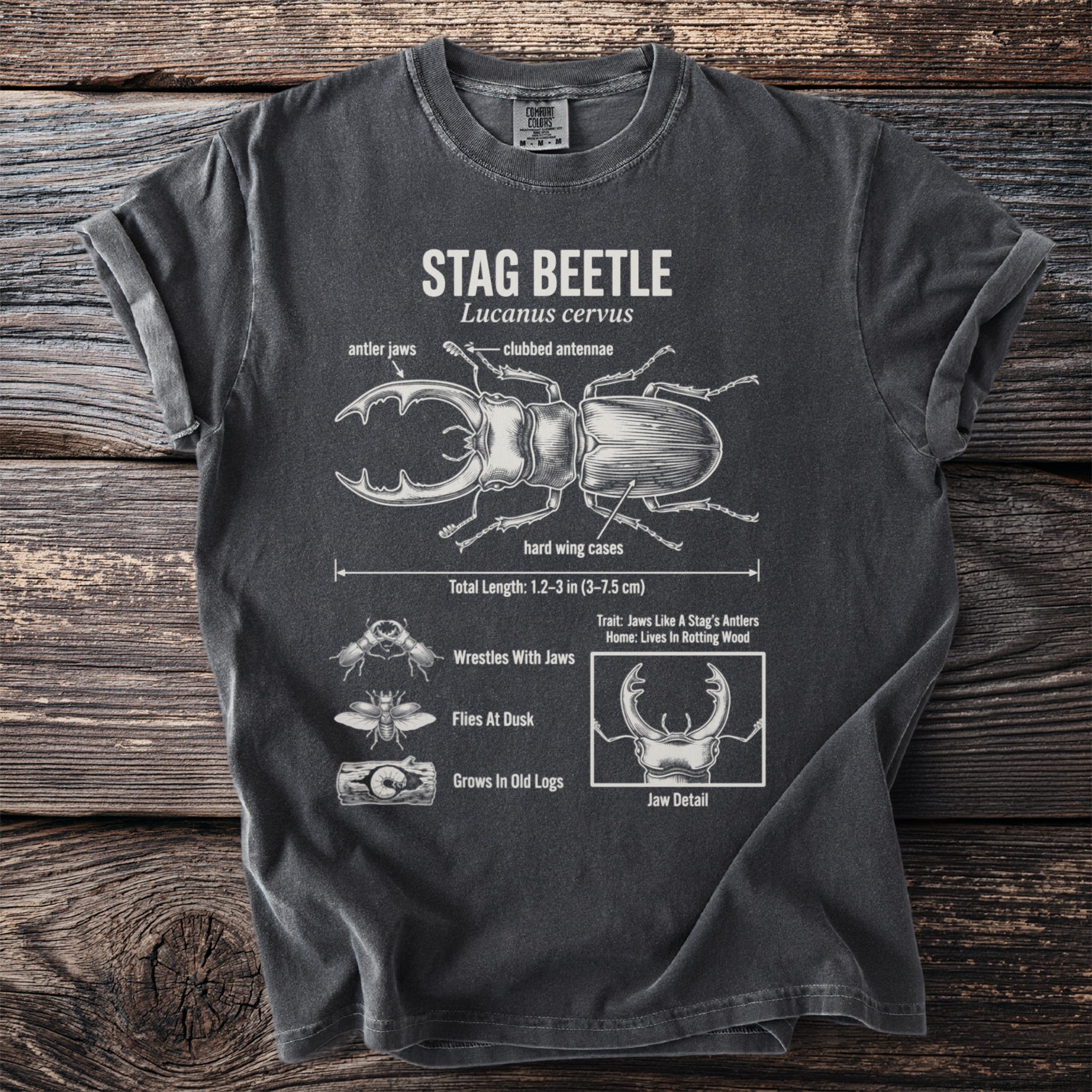 Dark t-shirt with a stag beetle diagram, labeling its anatomy and habitat.