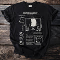 Belted Galloway cow diagram detailing anatomy, biology, habitat, and adaptations.