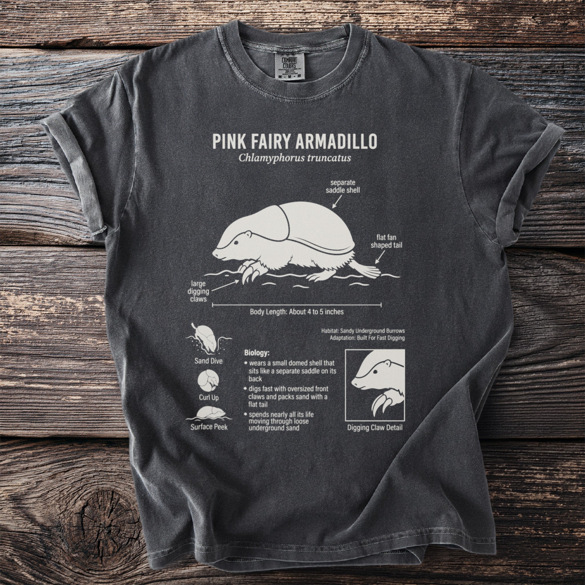 T-shirt graphic detailing the Pink Fairy Armadillo, its features, and biology.