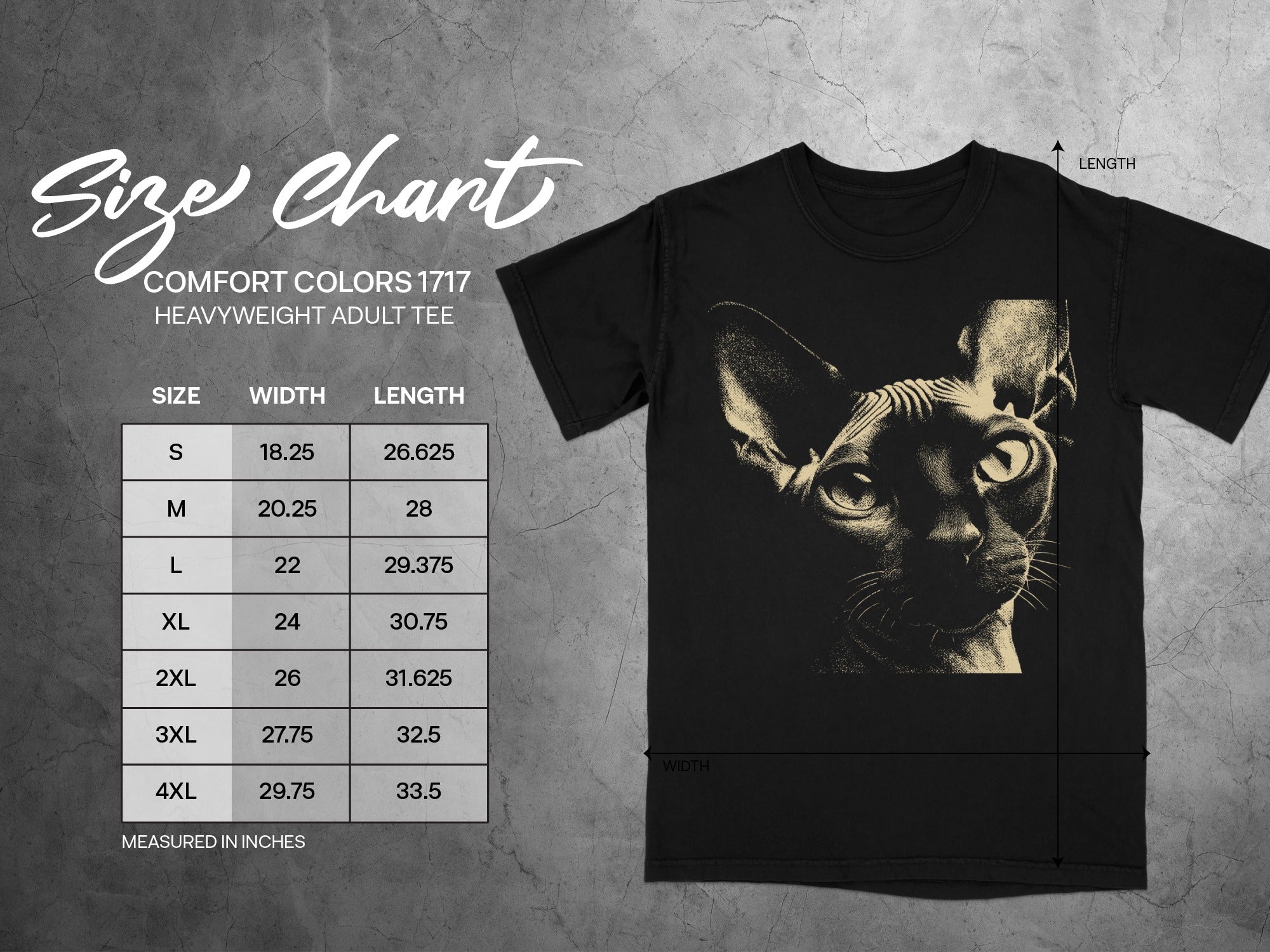 Comfort Colors 1717 heavyweight adult tee size chart with width and length measurements.