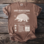 Brown t-shirt with a detailed illustration of a short-beaked echidna and its biology.
