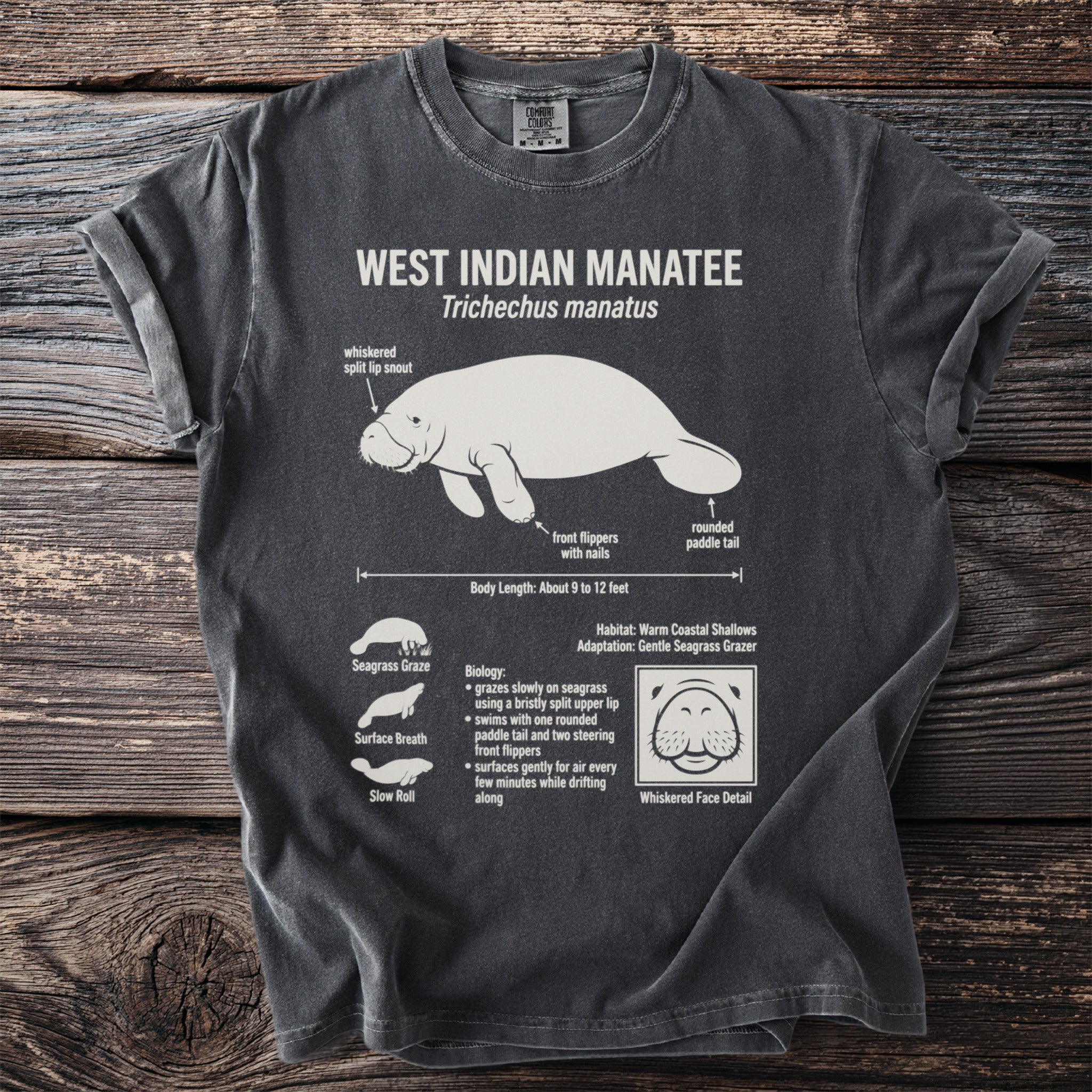 Dark gray t-shirt with West Indian Manatee anatomy diagram and facts.