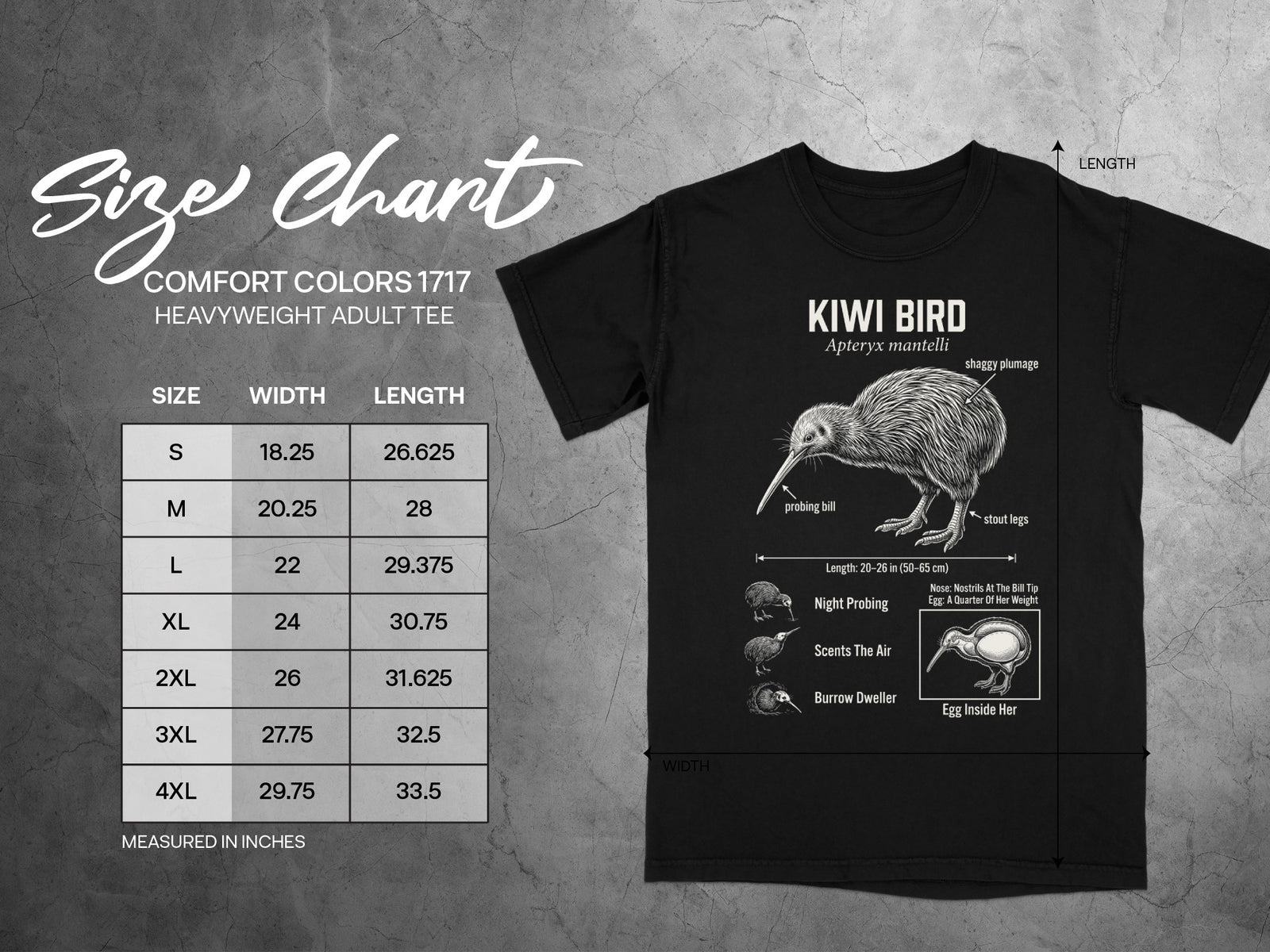 Size chart for Comfort Colors 1717 heavyweight adult tee with kiwi bird illustration.