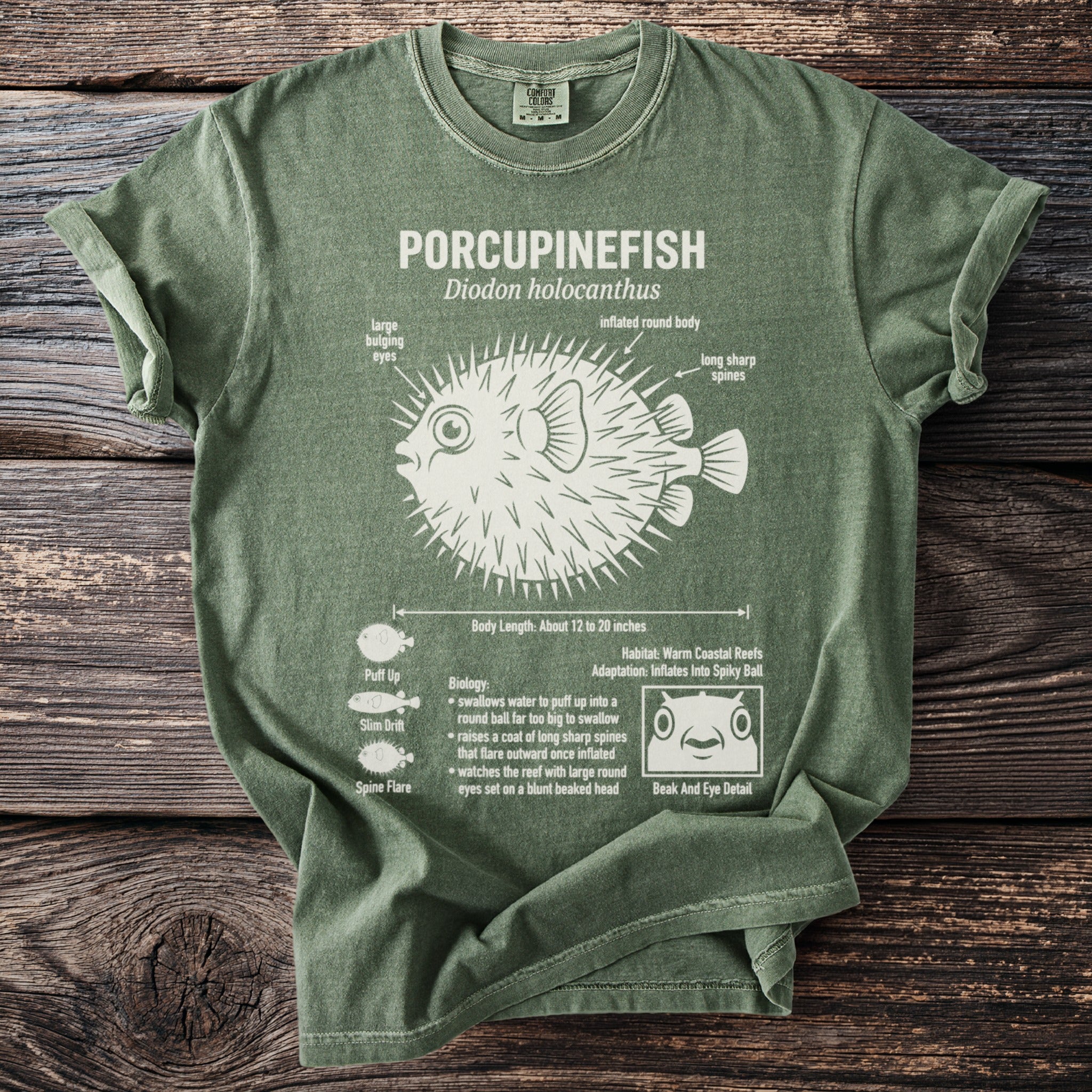 Green t-shirt with a white diagram of a porcupinefish and its biological details.