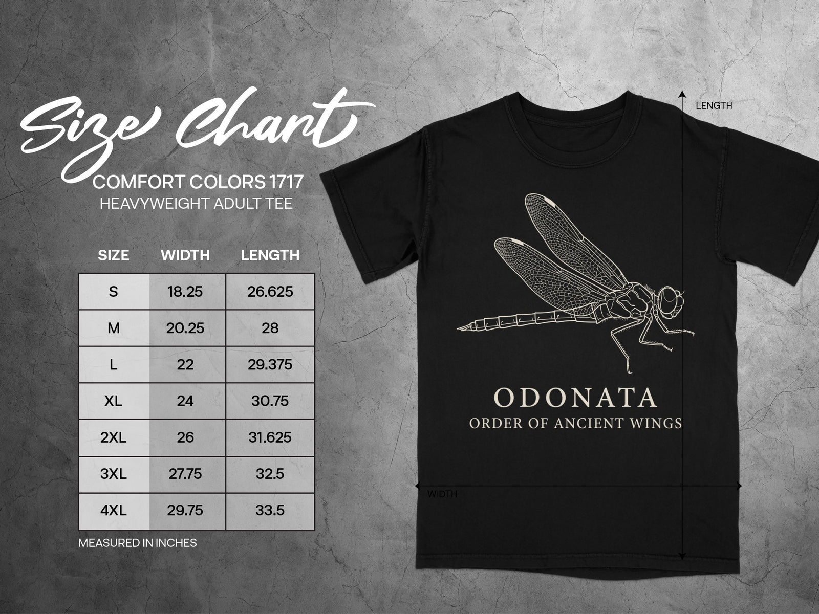 Comfort Colors 1717 heavyweight adult tee size chart with dragonfly graphic.
