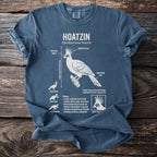 Blue t-shirt with Hoatzin bird illustration and biology facts.