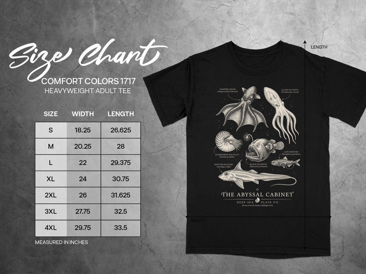 Comfort Colors 1717 size chart with illustrations of deep-sea creatures.