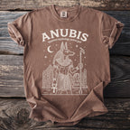 Brown t-shirt with white outline of Anubis, pyramids, and sphinx.