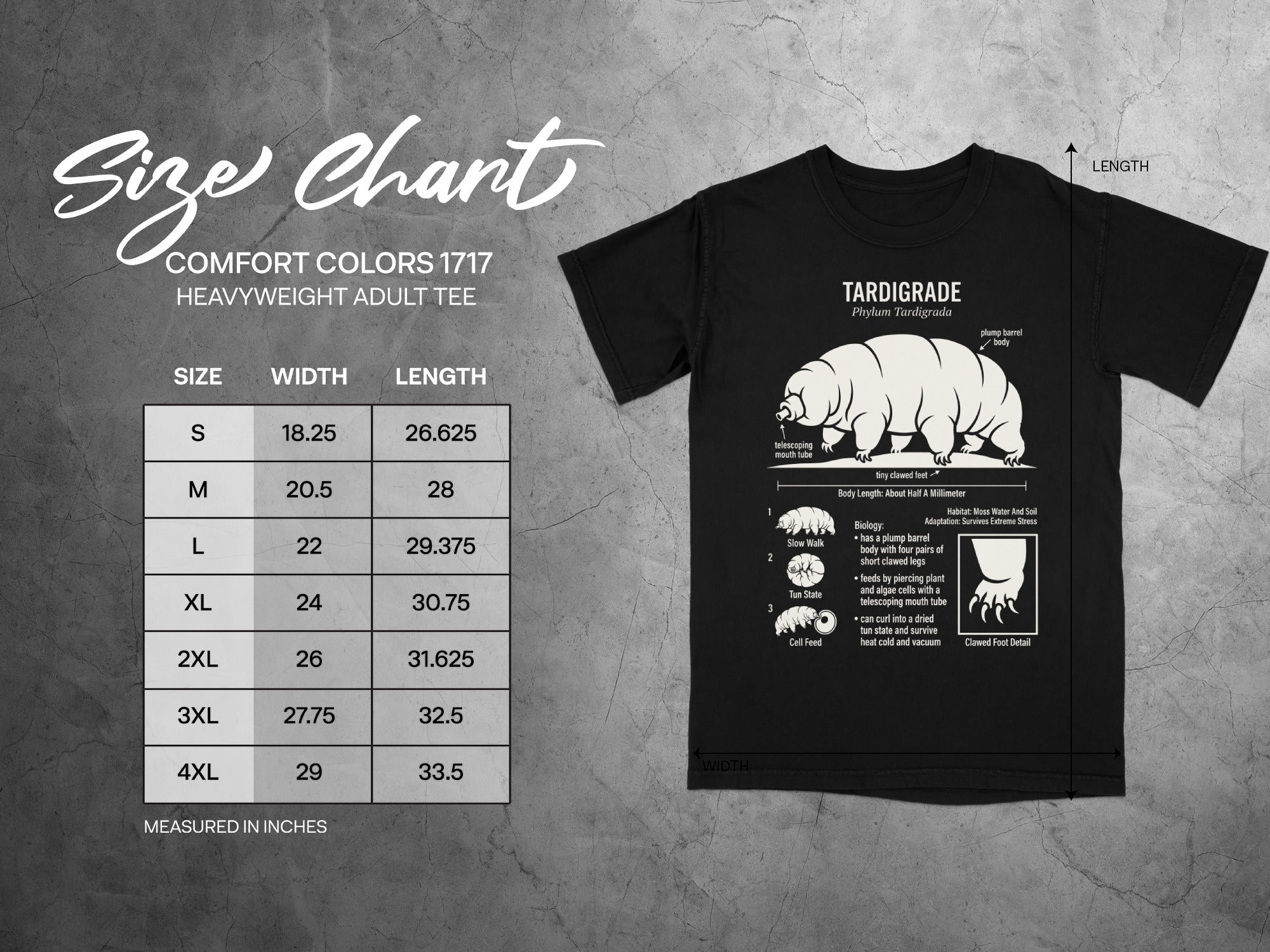 Comfort Colors 1717 adult tee size chart with tardigrade graphic.