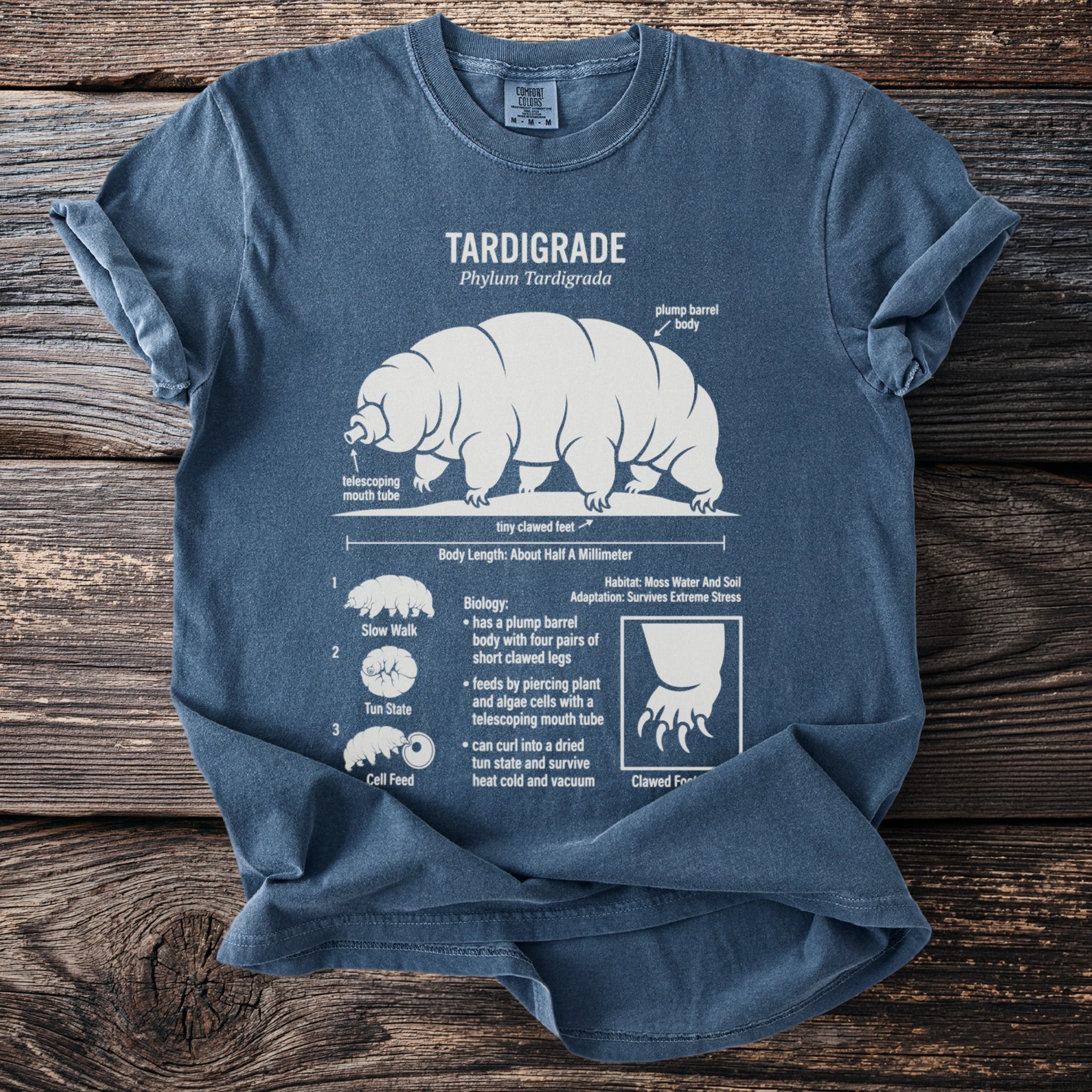 Tardigrade shirt with scientific illustration, labeling body parts and characteristics.