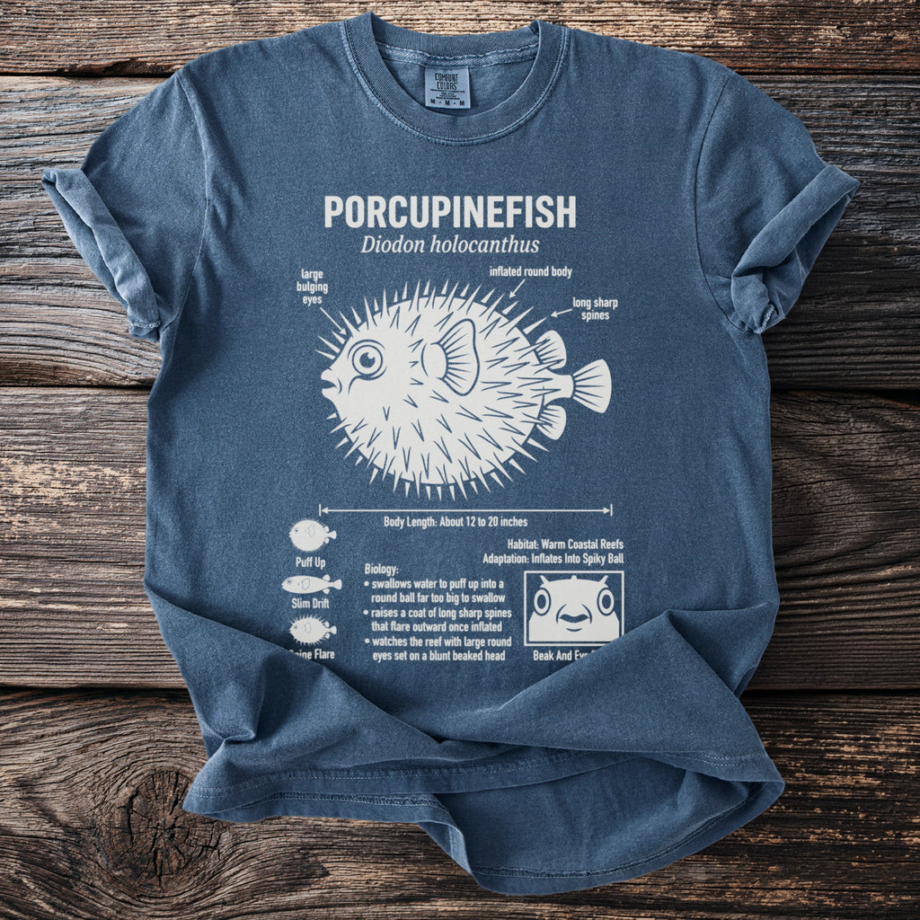Blue t-shirt with white illustration of a porcupinefish and its biological details.