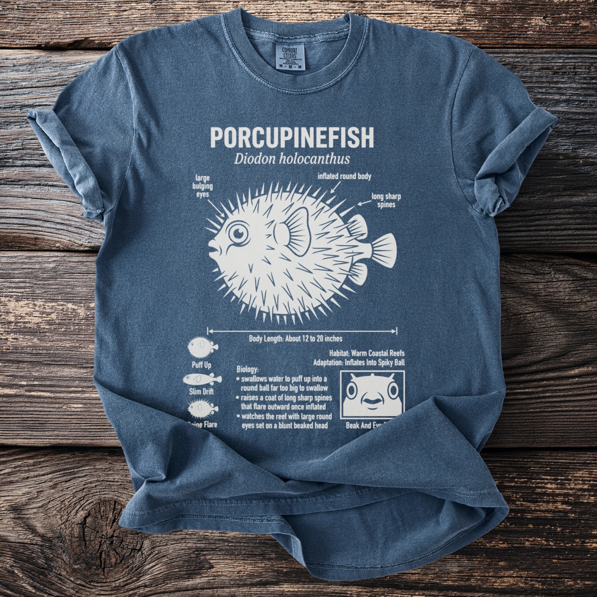 Blue t-shirt with white illustration of a porcupinefish and its biological details.