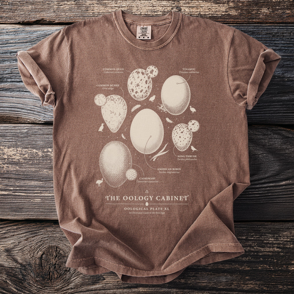 Brown t-shirt with illustrated bird eggs and "The Oology Cabinet" text.