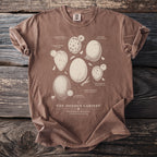 Brown t-shirt with illustrated bird eggs and "The Oology Cabinet" text.