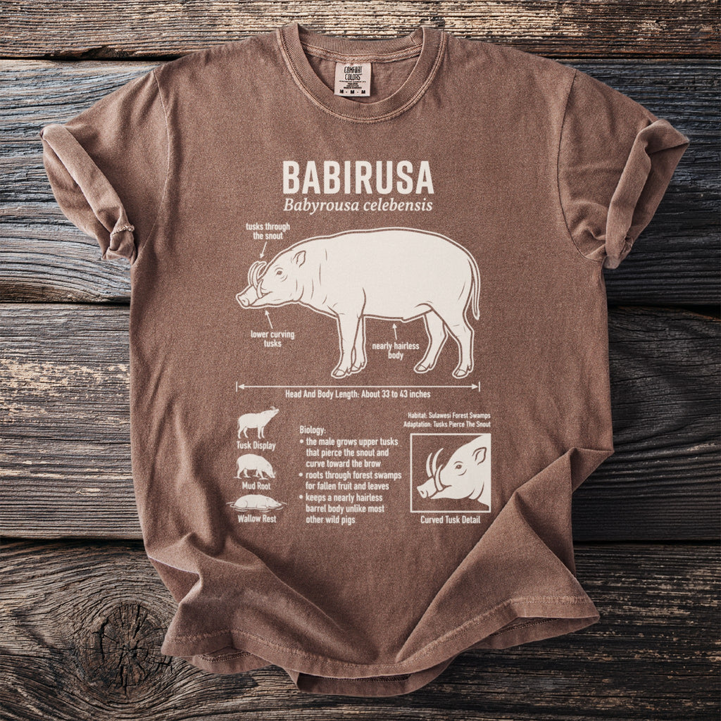 Brown t-shirt with diagram of a babirusa pig and its features.