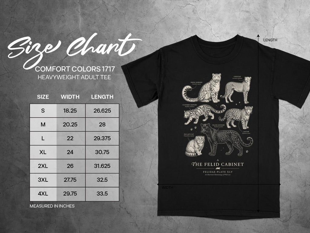 Comfort Colors 1717 tee size chart with illustrations of wild cats.