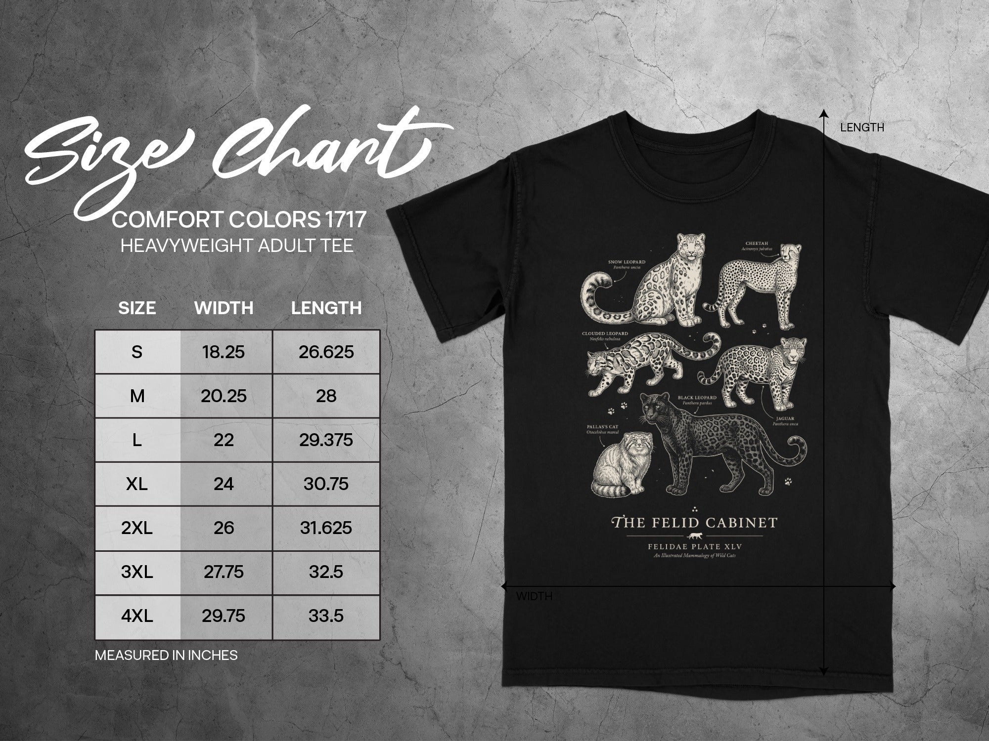 Comfort Colors 1717 tee size chart with illustrations of wild cats.