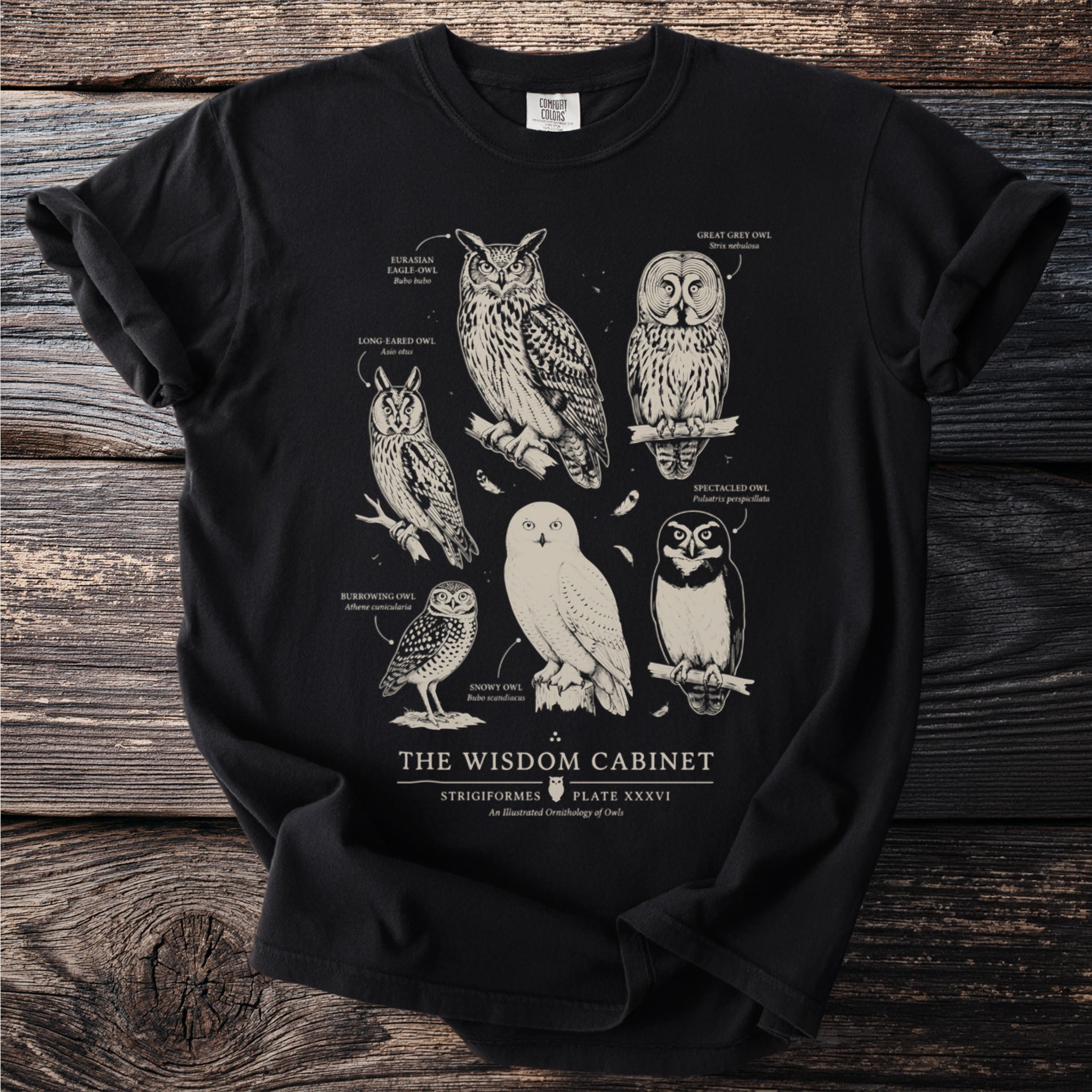 Black t-shirt featuring an illustration of six owl species with scientific names.