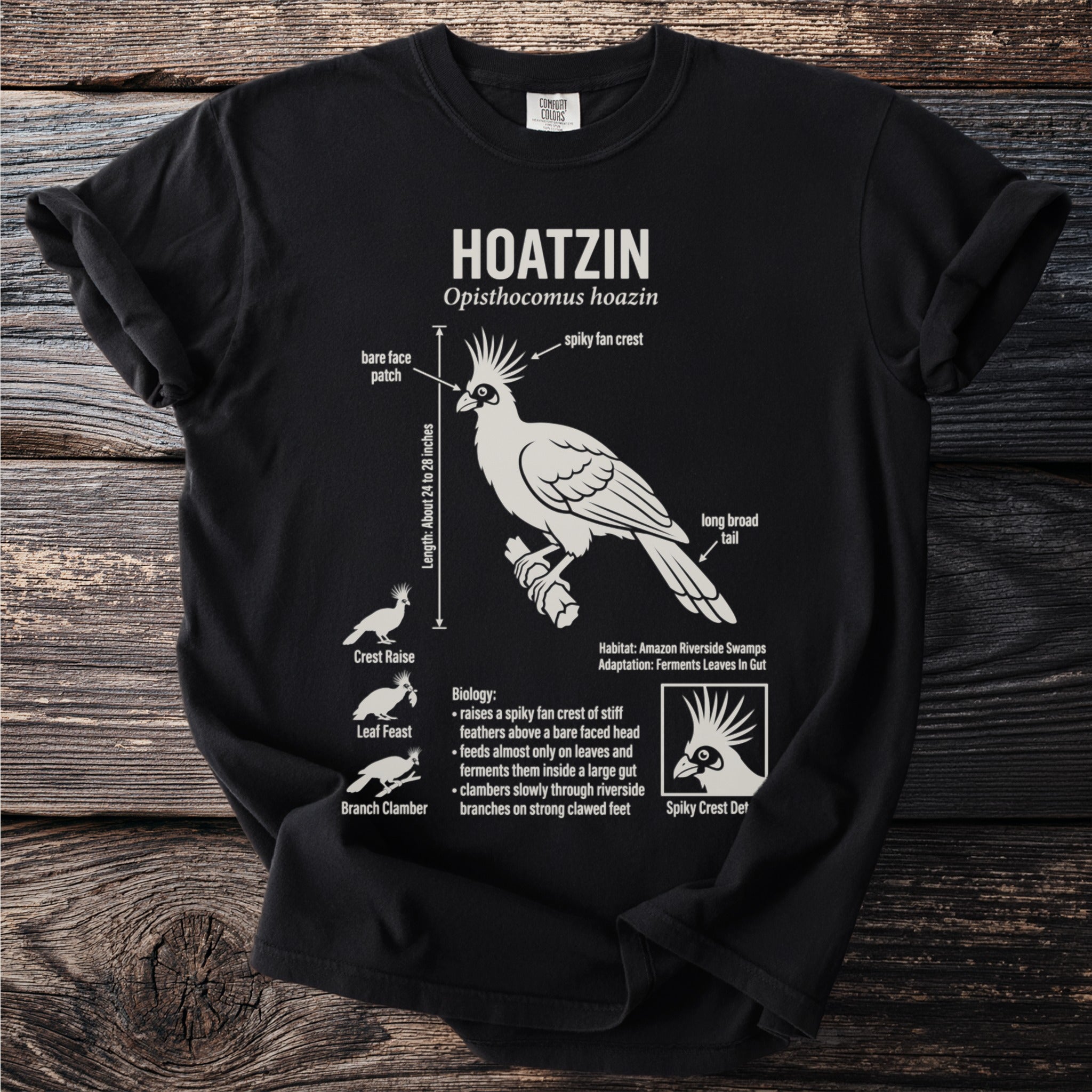 The Hoatzin bird illustration detailing its features and biology on a black t-shirt.